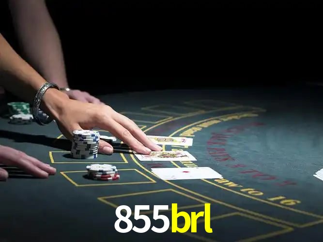 Descubra a Essência do 855brl: Nossa História e Compromissos